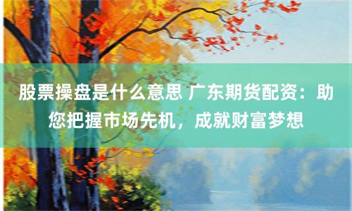 股票操盘是什么意思 广东期货配资：助您把握市场先机，成就财富梦想