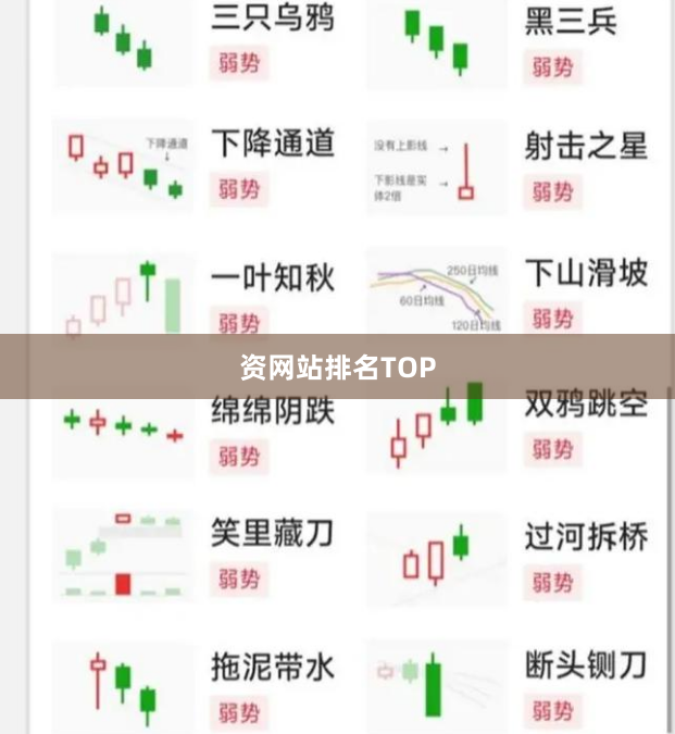 资网站排名TOP