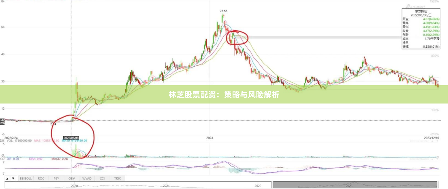 林芝股票配资:策略与风险解析
